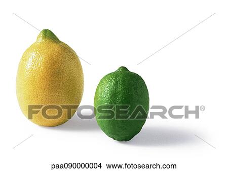 Lemon and lime View Large Photo Image Picture - Lemon and lime. Fotosearch