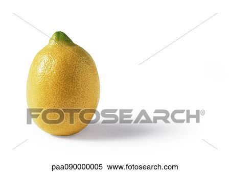 Stock Photography - Lemon. Fotosearch