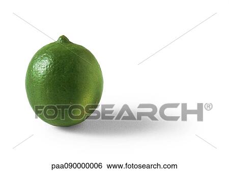 Lime View Large Photo Image Stock Photograph - Lime. Fotosearch