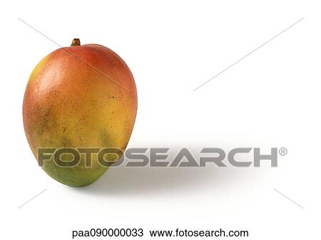 Mango View Large Photo Image Stock Image - Mango. Fotosearch