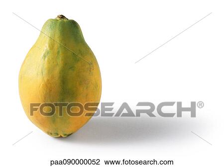 Papaya View Large Photo Image Stock Image - Papaya. Fotosearch