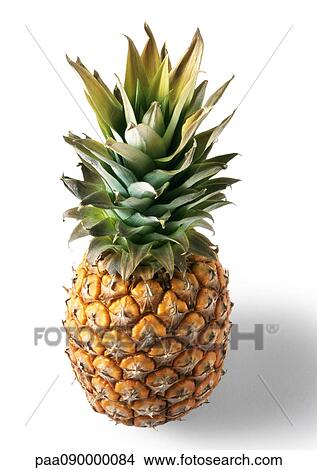 Pineapple View Large Photo Image Picture - Pineapple. Fotosearch