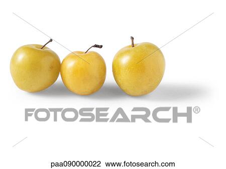 Stock Image - Plums. Fotosearch