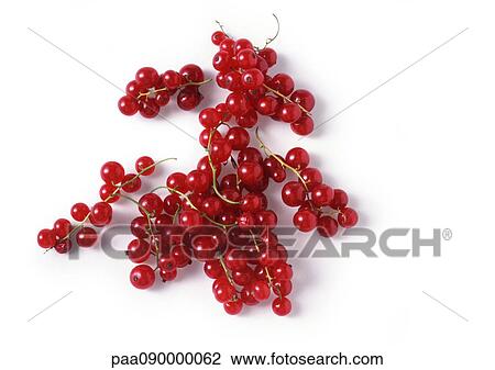 Stock Image - Red currants. Fotosearch