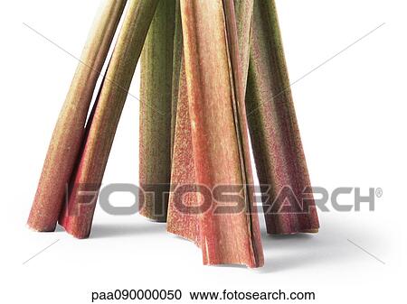 Rhubarb stalks, close-up View Large Photo Image Stock Image - Rhubarb stalks, close-up. Fotosearch