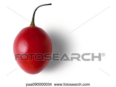 Tamarillos View Large Photo Image Picture - Tamarillos. Fotosearch
