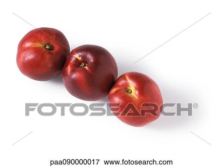 Stock Photo - Three nectarines. Fotosearch