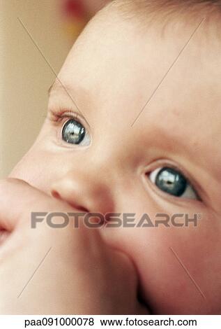 Baby's face and adult hand, close-up View Large Photo Image Stock Photo - Baby's face and adult hand, close-up. Fotosearch