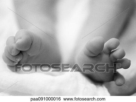 Stock Photograph - Baby's feet, close-up, b&w. Fotosearch