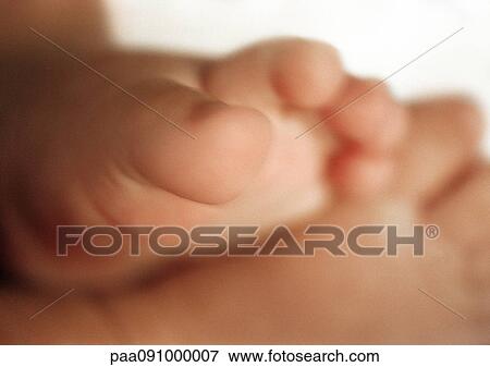 Stock Photo - Baby's feet, close-up. Fotosearch