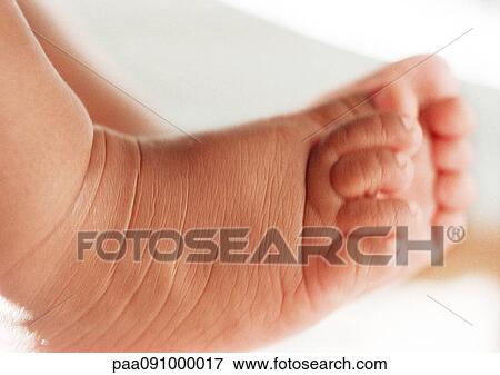 Stock Photo - Baby's feet, close-up. Fotosearch