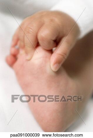 Baby's hand holding foot, close-up View Large Photo Image Stock Photo - Baby's hand holding foot, close-up. Fotosearch