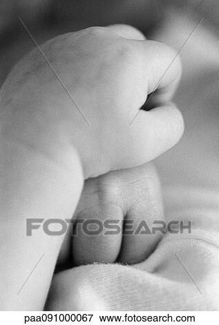 Baby's hands, close-up View Large Photo Image Stock Photo - Baby's hands, close-up. Fotosearch