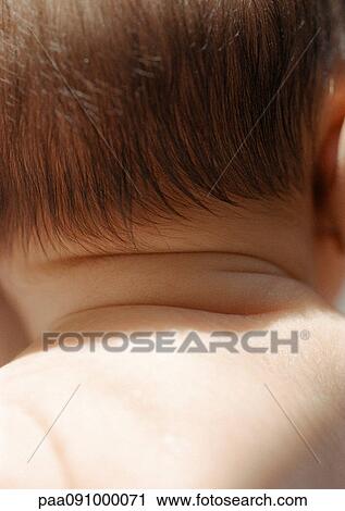 Stock Image - Back of baby's head, close-up. Fotosearch