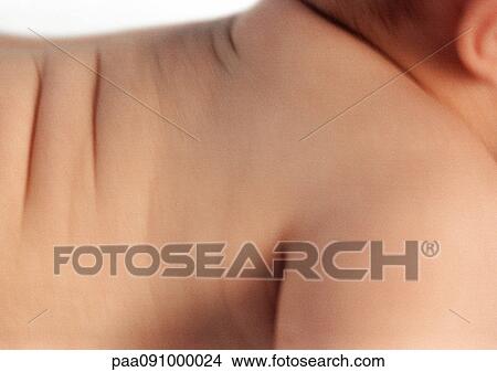 Fold's in baby's back, close-up View Large Photo Image Picture - Fold's in baby's back, close-up. Fotosearch