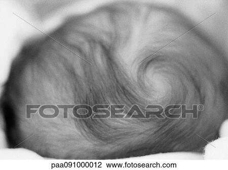 Stock Image - Top of baby's head with swirl in hair, close-up, b&w. Fotosearch