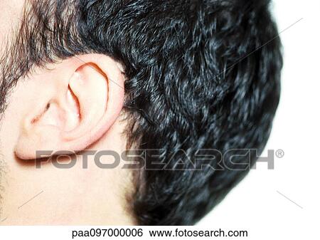 Stock Photograph - Man's head, side view, close-up. Fotosearch