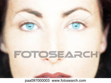 Woman's face, close-up, portrait View Large Photo Image Stock Image - Woman's face, close-up, portrait. Fotosearch