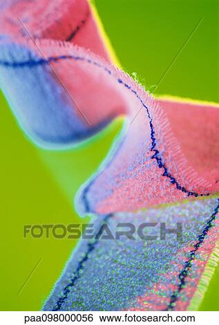 Stock Photograph - Gauze, close-up. Fotosearch