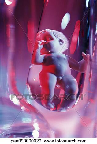 Stock Photo - Plastic baby doll in test tube, close-up. Fotosearch