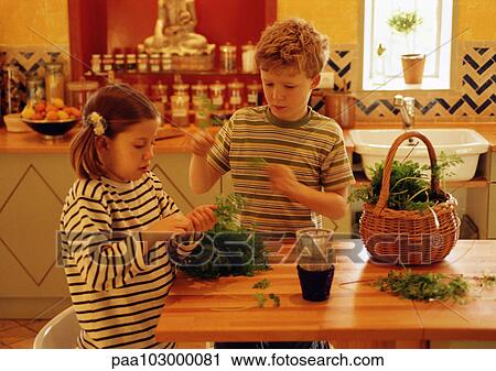 Stock Image - Children in kitchen handling herbs. Fotosearch