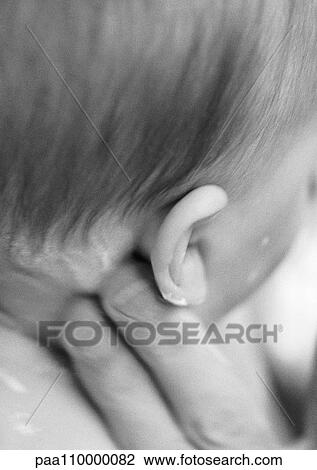 Adult fingers applying lotion behind baby's ear, close-up, b&w View Large Photo Image Stock Image - Adult fingers applying lotion behind baby's ear, close-up, b&w. Fotosearch