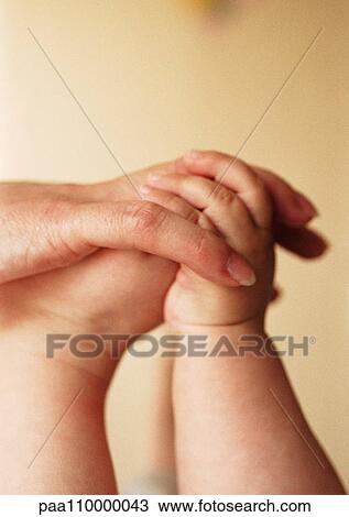 Stock Image - Adult hand holding baby's hand and foot, close-up. Fotosearch