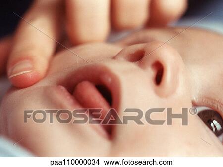 Adult touching baby's face, close-up View Large Photo Image Picture - Adult touching baby's face, close-up. Fotosearch