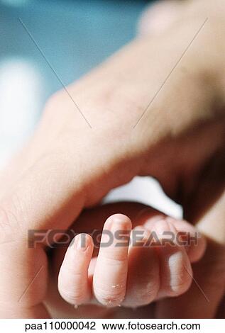 Stock Image - Adult's hand holding baby's hand, close-up. Fotosearch