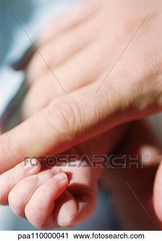Stock Image - Adult's hand touching baby's hand, close-up. Fotosearch