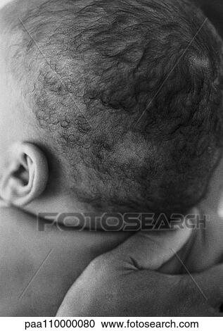 Stock Image - Baby with adult hand on back, rear view, close-up, b&w. Fotosearch