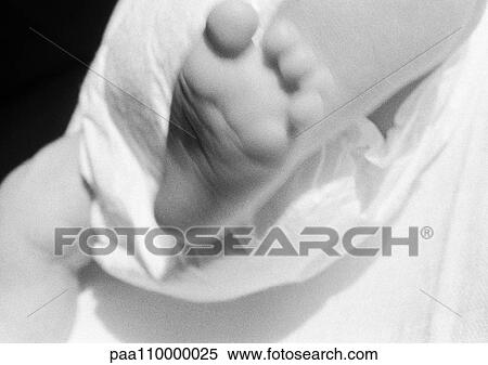 Baby's foot, close-up, b&w View Large Photo Image Stock Photography - Baby's foot, close-up, b&w. Fotosearch