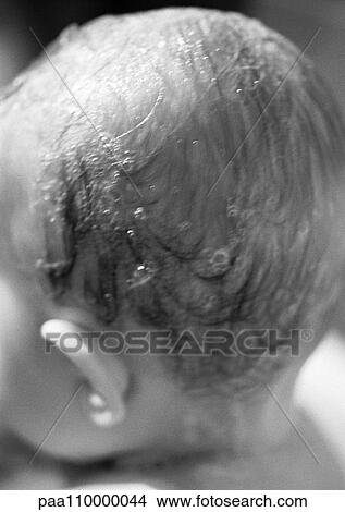 Picture - Baby's head with shampoo in hair, rear view, close-up, b&w. Fotosearch
