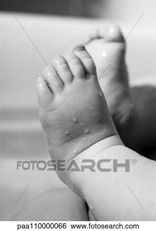 Stock Photograph - Baby's wet feet, close-up, b&w. Fotosearch