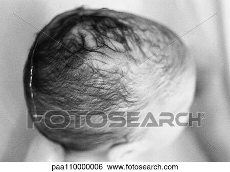 Baby's wet head, high angle view, close-up, b&w View Large Photo Image Stock Photograph - Baby's wet head, high angle view, close-up, b&w. Fotosearch