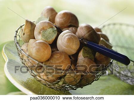 Bowl of escargot, close-up View Large Photo Image Stock Image - Bowl of escargot, close-up. Fotosearch
