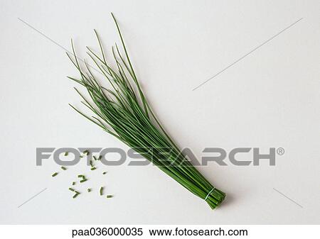 Bunch of chives with cut chives, white background View Large Photo Image Stock Photography - Bunch of chives with cut chives, white background. Fotosearch