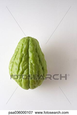 Chayote, close-up View Large Photo Image Stock Photo - Chayote, close-up. Fotosearch