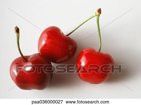 Cherries with stems, close-up, white background View Large Photo Image Stock Photo - Cherries with stems, close-up, white background. Fotosearch