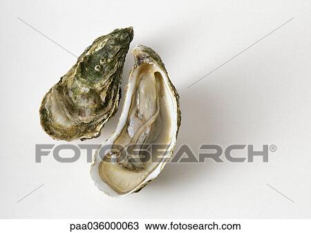 Oyster shell and open oyster half, close-up Stock Image | paa036000063 |  Fotosearch
