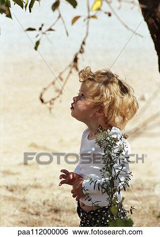 Stock Photograph - Girl standing under tree branches, looking up. Fotosearch