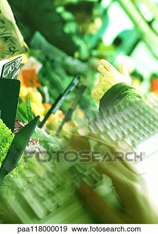 Hand above produce in market and hand on computer keyboard, superimposed pictures View Large Photo Image Stock Photo - Hand above produce in market and hand on computer keyboard, superimposed pictures. Fotosearch