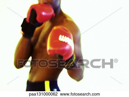 Boxer, torso View Large Photo Image Stock Image - Boxer, torso. Fotosearch