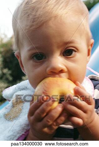 Baby eating apple, close-up. View Large Photo Image Stock Image - Baby eating apple, close-up.. Fotosearch