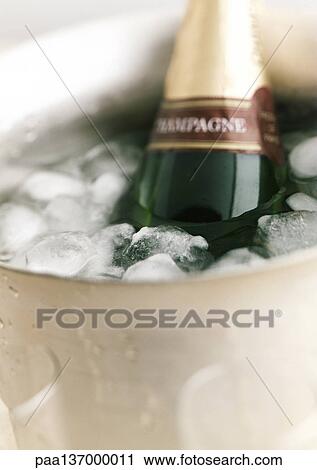 Bottle of Champagne sitting in ice bucket. View Large Photo Image Stock Image - Bottle of Champagne sitting in ice bucket.. Fotosearch