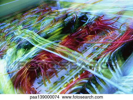 Network of computer wiring, blurred, close-up. View Large Photo Image Picture - Network of computer wiring, blurred, close-up.. Fotosearch