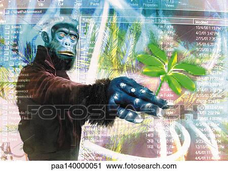 Gorilla in cyberspace, holding leaf, digital composite. View Large Illustration Clip Art - Gorilla in cyberspace, holding leaf, digital composite. . Fotosearch