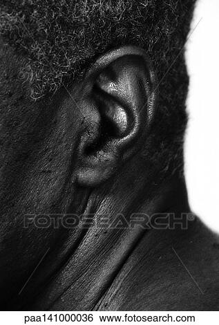 Senior man, close-up of ear, b&w. View Large Photo Image Stock Photograph - Senior man, close-up of ear, b&w.. Fotosearch