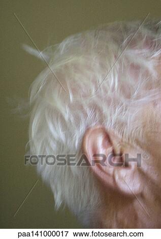Senior man's ear, close-up. View Large Photo Image Stock Photo - Senior man's ear, close-up.. Fotosearch