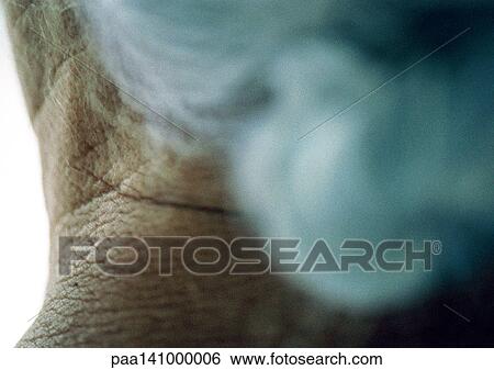 Stock Photograph - Senior woman, rear view, close-up of neck.. Fotosearch